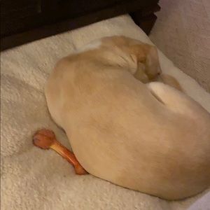 Meet your Posher, Dave